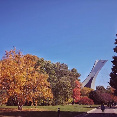 Homa Homestay Hotel By Olympic Stadium Montreal Auberge-Hostel Exterior foto